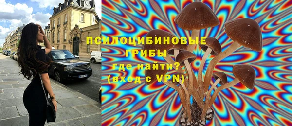 MESCALINE Богородск