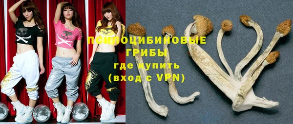 круглые Белокуриха