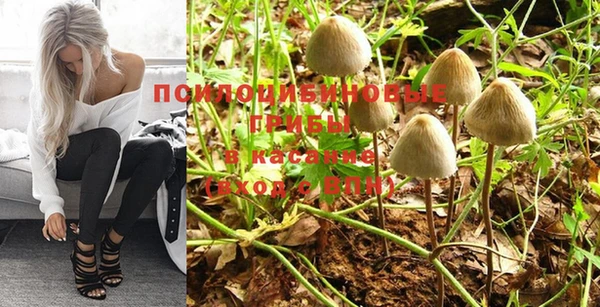 круглые Белокуриха