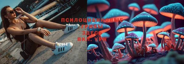круглые Белокуриха
