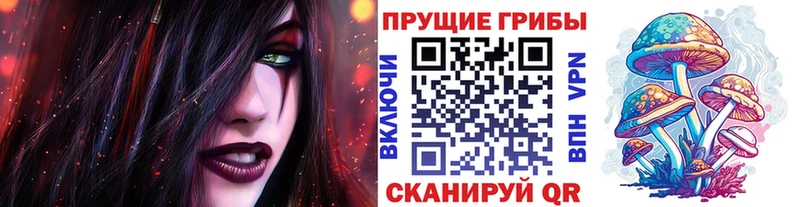 Псилоцибиновые грибы Psilocybe  Бологое 