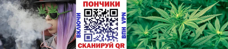 Бошки марихуана Bruce Banner дарнет шоп Бологое